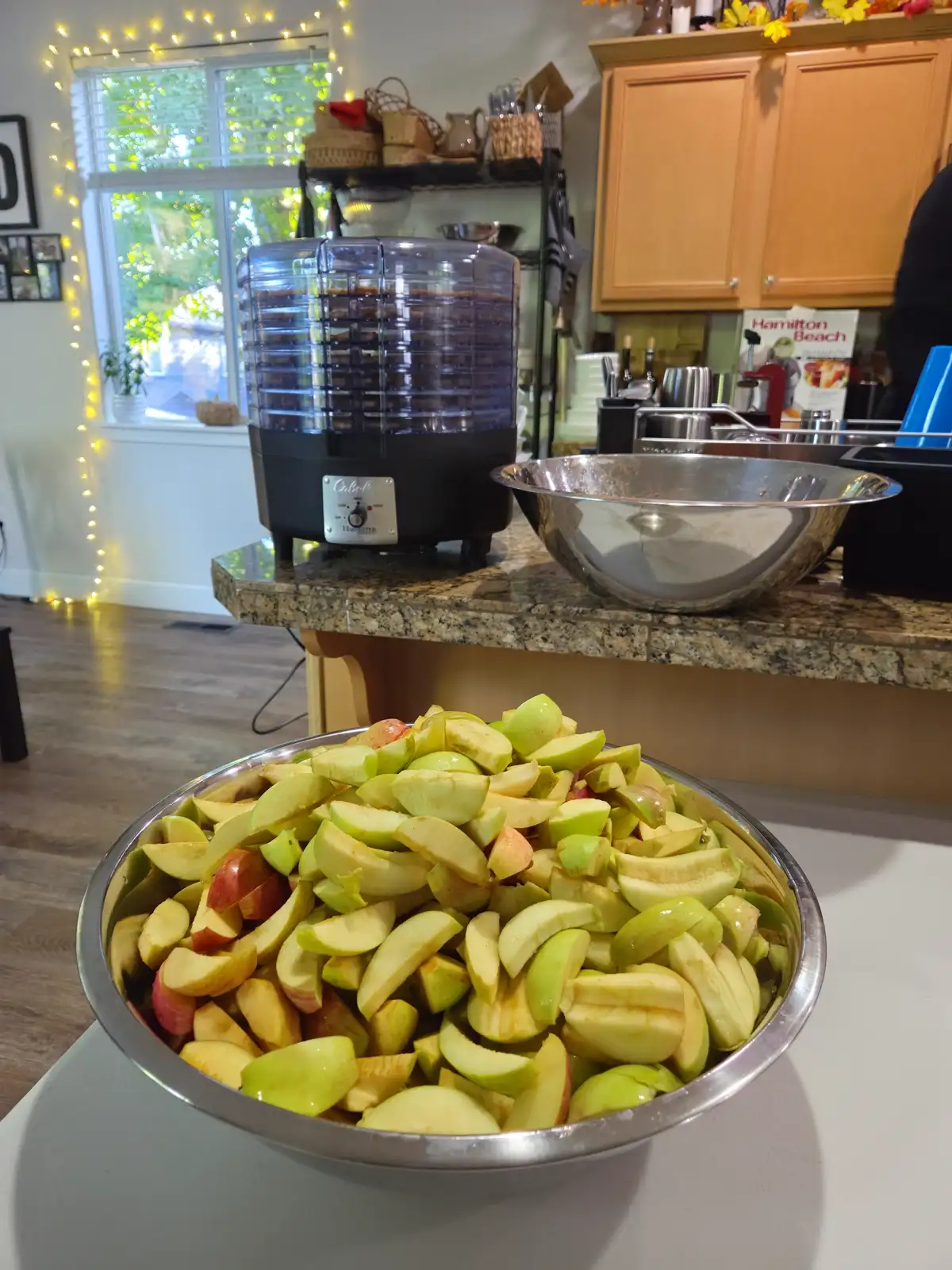 Fresh-cut farm apples prepared for cider at Dukes Tree Farm